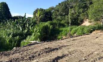 Imagem 4: Terreno 1350m2 em rua asfaltada