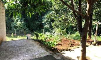 Imagem 5: Sitio à venda em Igarapé bairro Miriti