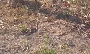 Imagem 3: Terreno de 360 metros em Ribeirão dás Neves bairro São Luiz