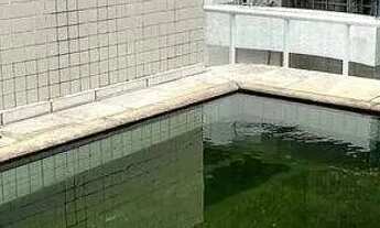 Imagem: Cobertura com 4 dormitórios para alugar