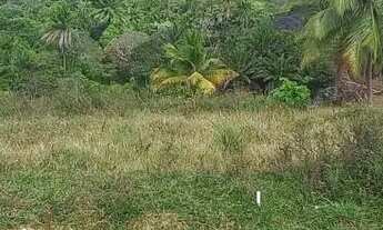 Imagem 3: Terreno na Ilha de Mar Grande