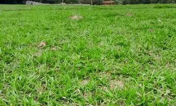 Imagem: Mairinque Interior de São Paulo Terrenos