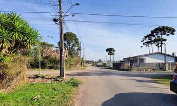 Imagem 7: Terreno Comercial/Residencial para Venda em São José dos Pinhais - PR