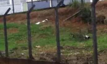 Imagem 5: Lote em Rua Salma - Granja Viana - Cotia/SP