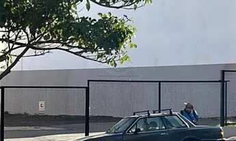 Imagem 3: Excelente lote na Getulio Vargas