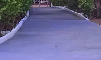 Imagem 5: Alugo sítio,disponível Carnaval