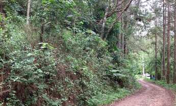 Imagem 2: Terreno Estrada Borba Gato 5 mil m2- Oportunidade R$ 100 mil