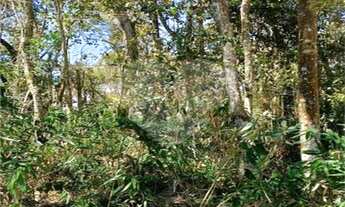 Imagem 3: Terreno à venda em Remédios - SP