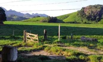 Imagem 6: Fazenda 120 Alqueires - Fundão