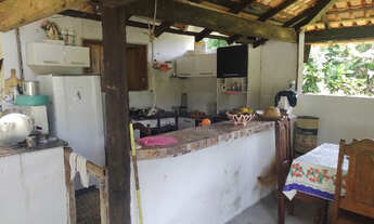 Imagem 5: Sitio 50x500 com plantação de açaí e varias arvores frutiferas por 160 mil reais