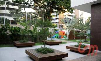 Imagem 3: Lazuli - Meireles