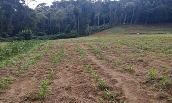 Imagem 7: Santa maria jequitibaES