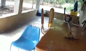 Imagem 4: Chácara 8ha., 15km de Vila Boa, Casa Grande, terra cultura