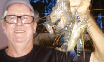 Imagem 3: Vendo Sítio situado a 2 km do centro de Dias Dávila