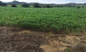 Imagem 2: Vende-se uma excelente fazenda de 123 Alqueires