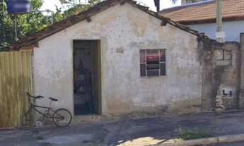 Imagem 4: Meio lote na avenida palmeiras em Cezarina