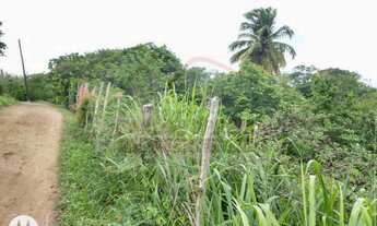 Imagem 6: Vendo 8,3 Mil Metros em Rusinha -Gravatá -PE Ref 448