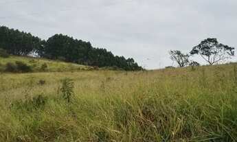 Imagem 3: Sitio com 1.5 Alqueires em Muzambinho