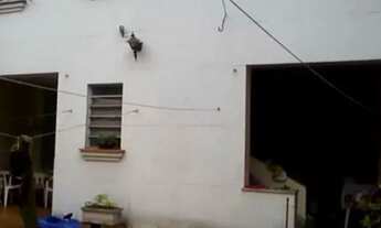 Imagem 7: SAO PAULO - Casa Padrão - ACLIMACAO