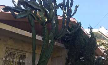 Imagem 7: Casa para Venda - 170m², 3 dormitórios, sendo 1 suites, 2 vagas - Vila Ipiranga