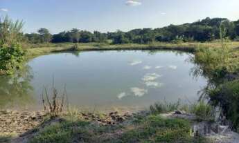 Imagem 6: Fazenda à venda, 492612 m² por R$ 1.200.000,00 - Zona Rural - Araguapaz/GO