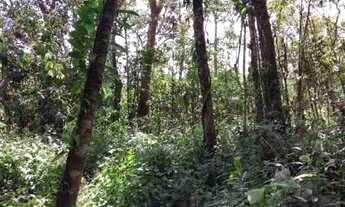 Imagem 7: Casa no Diplomata, em Itanhaém