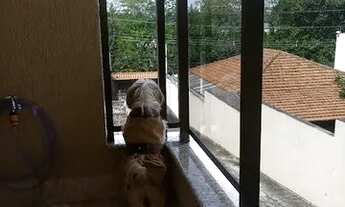 Imagem 7: SOBRADO RESIDENCIAL em SÃO BERNARDO DO CAMPO - SP, PAULICÉIA