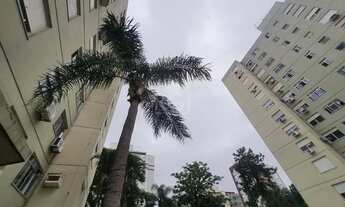 Imagem 6: Apartamento para Locação/Aluguel - 65m², 2 dormitórios, 1 vaga - Tristeza