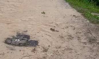 Imagem 5: CASA COM TERRENO GRANDE