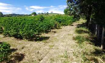 Imagem 5: Sitio com 1.8 Alqueires em Monte Santo - Mau