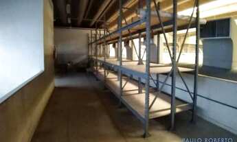 Imagem 6: GALPÃO - LIMÃO - SP