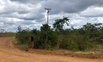 Imagem 5: FAZENDA À VENDA EM RIACHÃO - MA - 2.120 HECTARES (DUPLA APTIDÃO