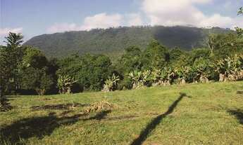 Imagem 3: Chácara de 20.000m², aos pés da serra da Cuesta em Bofete/SP, por apenas R$189.990,00