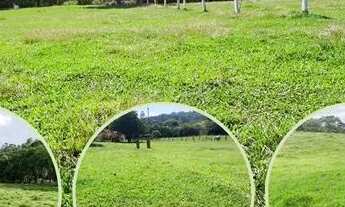 Imagem: LL-Vendo terreno direto com o proprietário