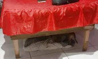 Imagem: Casa alugando