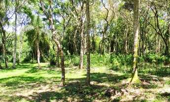 Imagem 4: Sítio / Chácara para Venda em Picada Café, Centro