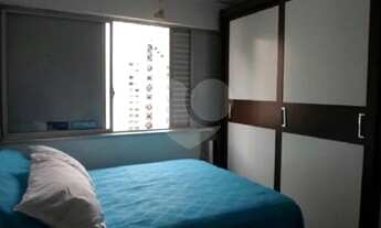 Imagem 7: Moema Pássaros !