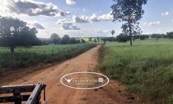 Imagem: Fazenda em Jussara-Go ! 30 Alqueires ! Oportunidade