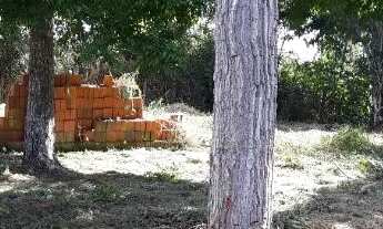 Imagem 3: Vende-se linda chácara próximo ao aeroporto