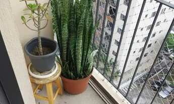 Imagem 4: Apartamento Sacomã - São Paulo