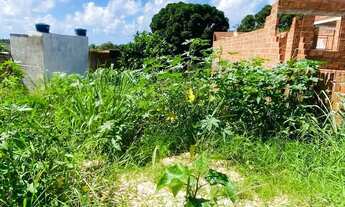 Imagem: Vende-se terreno 162m/2 Milagres