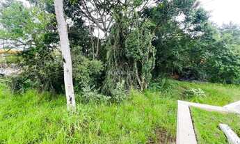 Imagem 5: Imóvel no Cidade Nova, Ivoti