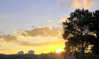 Imagem 7: Apartamento - 4 quartos - Venda - Bairro Ecoville - BELLOS IMÓVEIS