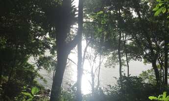 Imagem: Terreno de 3643.79m² no bairro Sambaqui