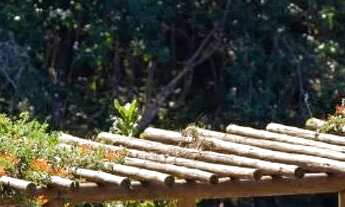 Imagem 4: Lote em Condominio C/ 10 Lagos e 1.898m² de terreno