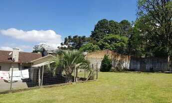 Imagem 3: Terreno - Bairro Centro