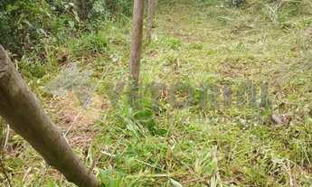 Imagem 4: Terreno à venda, 1200 m² por R$ 570.000,00 - Barra Velha - Ilhabela/SP
