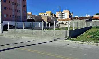 Imagem 6: Terreno à Venda de Esquina no São Brás 303m², Murado e Escriturado