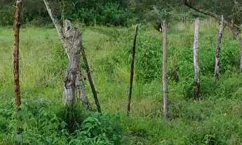 Imagem: Terreno de 6,5 Tarefas