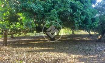 Imagem 6: Sitio com otima oportunidade de produtividade e lucratividade . codigo: 74117